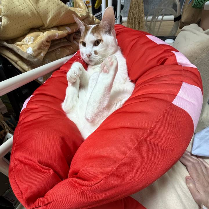 B536076c 8541 4d95 b915 af24e9fdcfcc 1768573871153