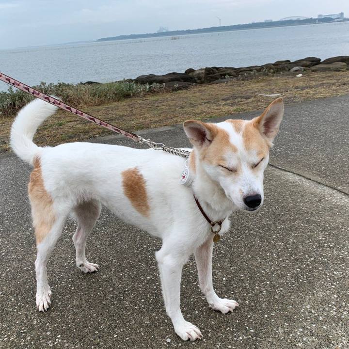 B53658c5 ed9c 4440 b75e 16b44c795a66 1604469247144