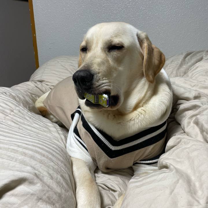 B536852e 3f52 4f38 bc53 0da0652cd18c 1639142099575