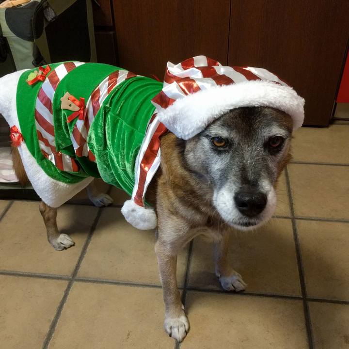 B53761ec 124a 4f91 b5a2 5897d7bdea06 1513323463509