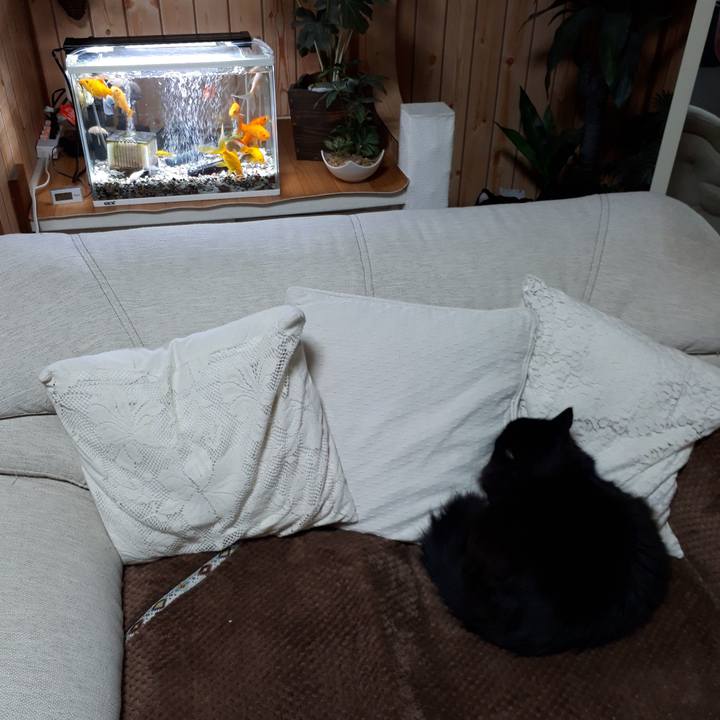 B5376bb2 3770 43d5 9ec3 ea5e08b0ba41 1518630606428