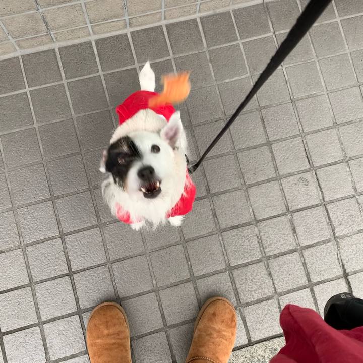 B537b9be 0375 4112 bfb8 326101924780 1674004831063