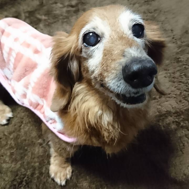 B5383681 5e6b 4783 8f1e c1cb329cdbde 1516347177190