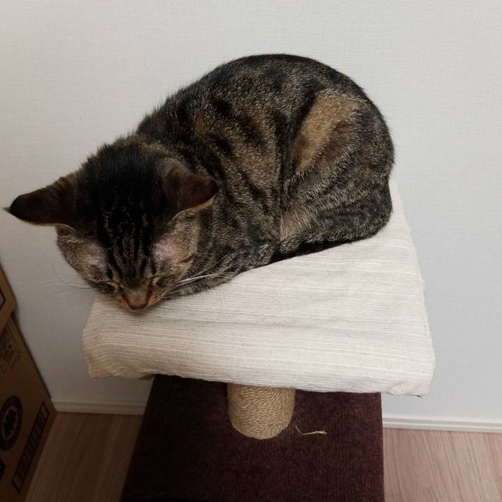 B53836ea 51fb 4fc9 825d 53bbf9e4b4e8 1569024748219