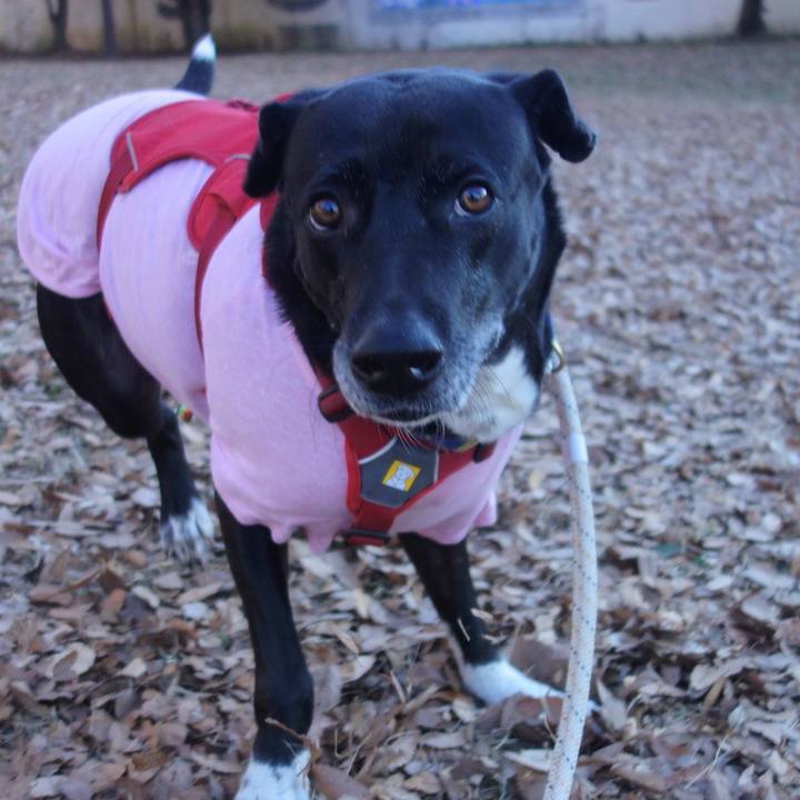 B5384445 ff2d 4ee0 b8ed 5fa988be8a32 1674861706437