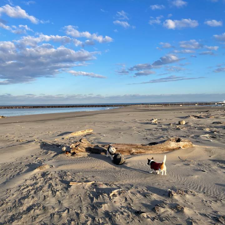 B53873f3 2d06 4c79 8bb2 2ad6dca445b9 1708125733523