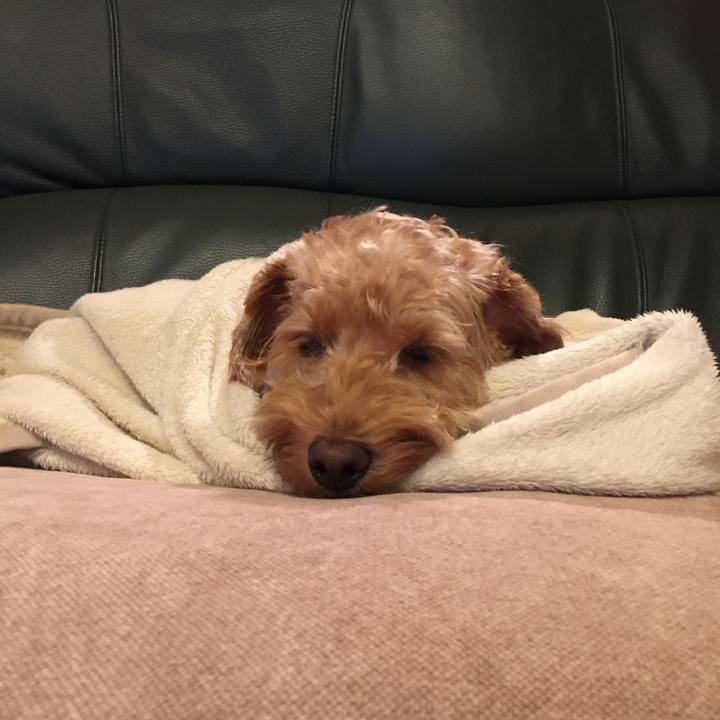 B5389a20 8086 41a8 94ce e5cfac2aa466 1508710371719