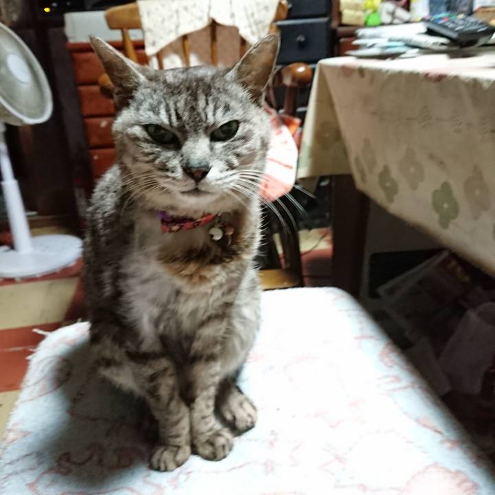 B538c914 71a9 4201 abc0 9dc234b7c613 1593717948646