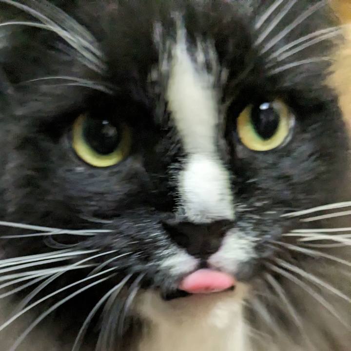 B538db95 3ab4 49ea a9a2 319b990748ca 1695046200674