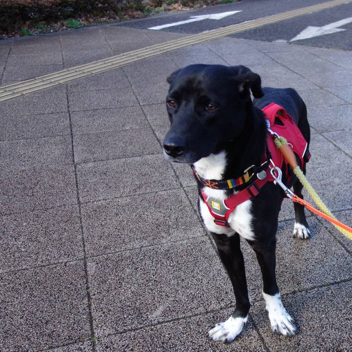 B53912ab ea84 4716 8128 ac12a93307e1 1584663945724