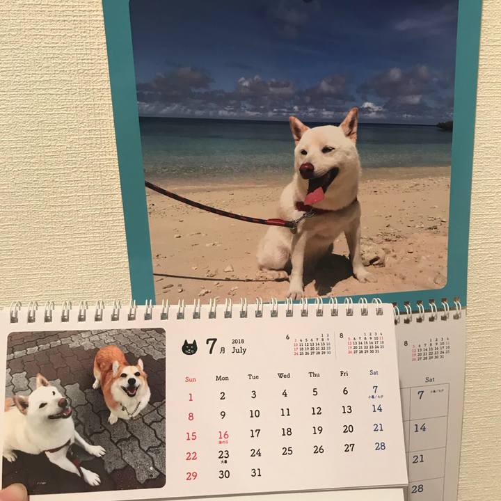 B539204b 88d0 4f9c ba74 eb0047c36e4b 1530404773713