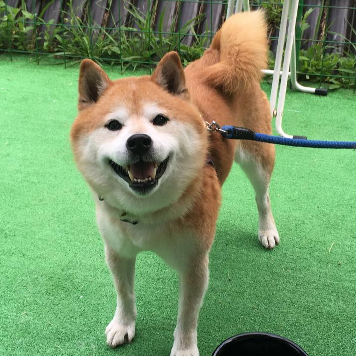 B53923c8 d7b3 49b6 a4f8 90d63b154c6a 1534895900217