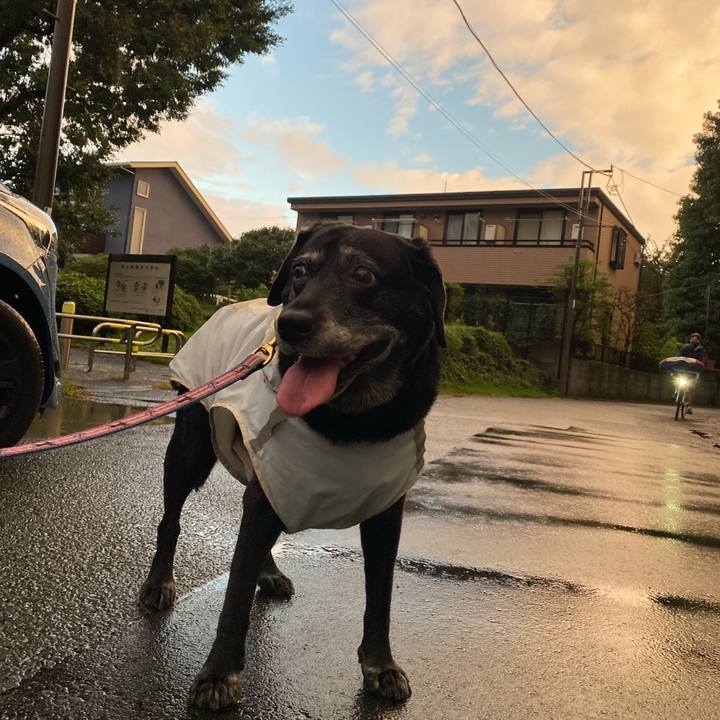 B53986b1 11c6 497e 819d d85da4c887ba 1664008864038