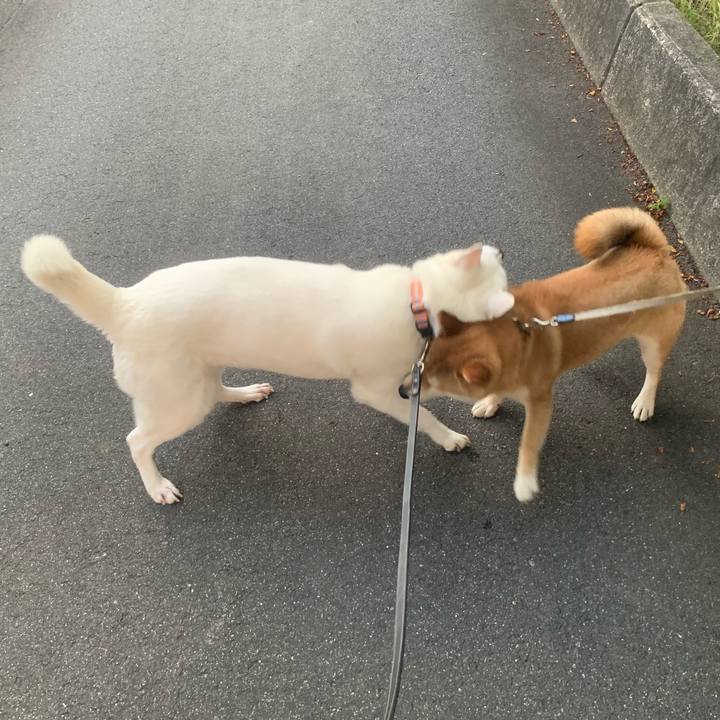 B539b460 eb08 4865 b5f4 0a6b1e571ad4 1559564442775