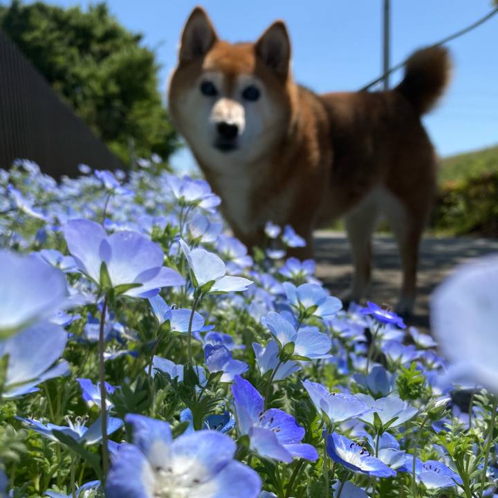 B539bbca 06ba 4a4a ba20 20ec4cc6e228 1683006029041