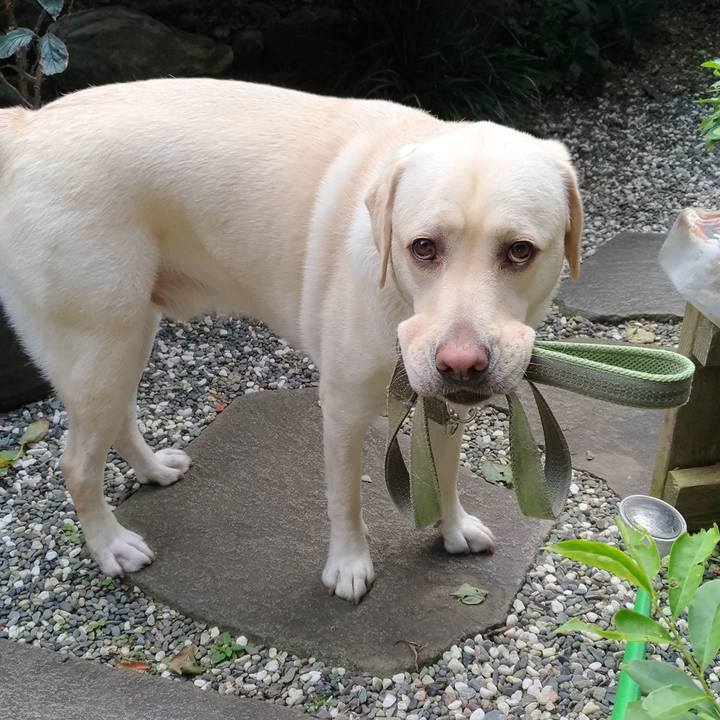 B539d079 8255 4c76 ad71 3b29269584c4 1539967353061