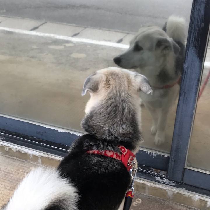 B539e8c8 0323 4781 bcb8 7a0e51102d0a 1580883015667