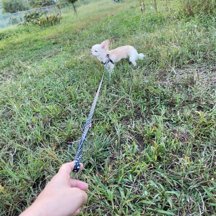 B539ff37 4c58 4056 8eea 874ef318f913 1602495655767