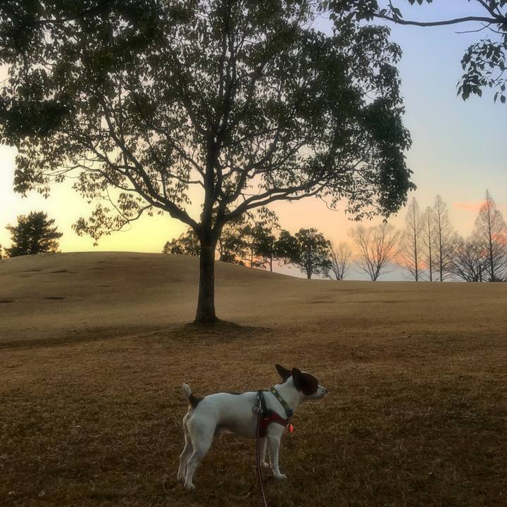 B53a1ef7 fa81 4576 8f70 024cb0b5c0da 1516009750888