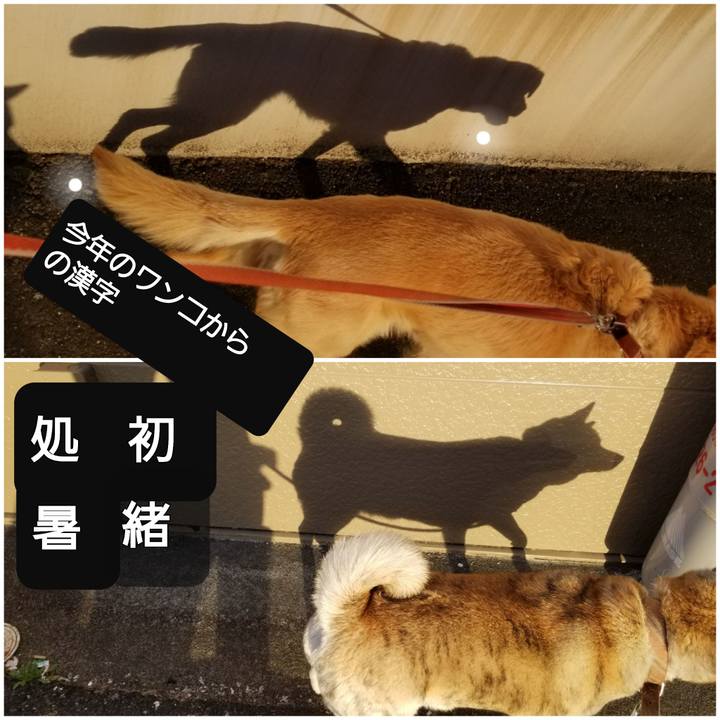 B53a21de 2fd7 4b6e b260 4fa4799fee80 1765709756314