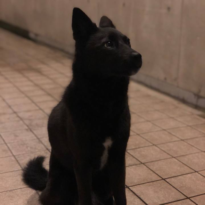 B53a7bdb a963 4d8c b2c1 4ab29126dfec 1561645615614