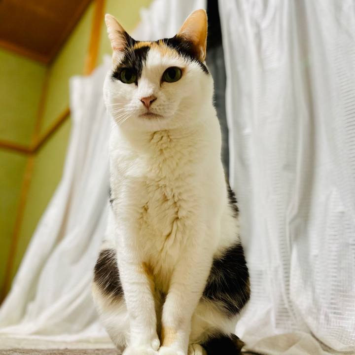 B53a82db 2405 40bf 9b55 c9acc76fbf97 1612666605675