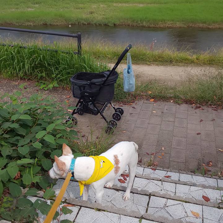 B53a836d d1a3 4eda a934 bb935e8f9443 1539758855620