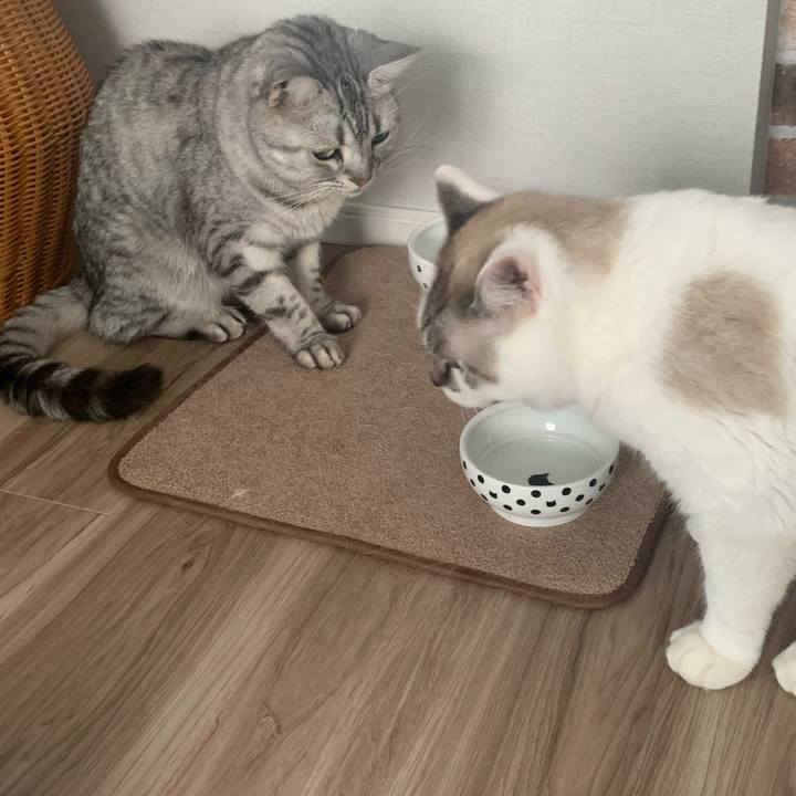 B53a95fc 6003 4cf9 a95b 1f4e14348e2c 1669708688443