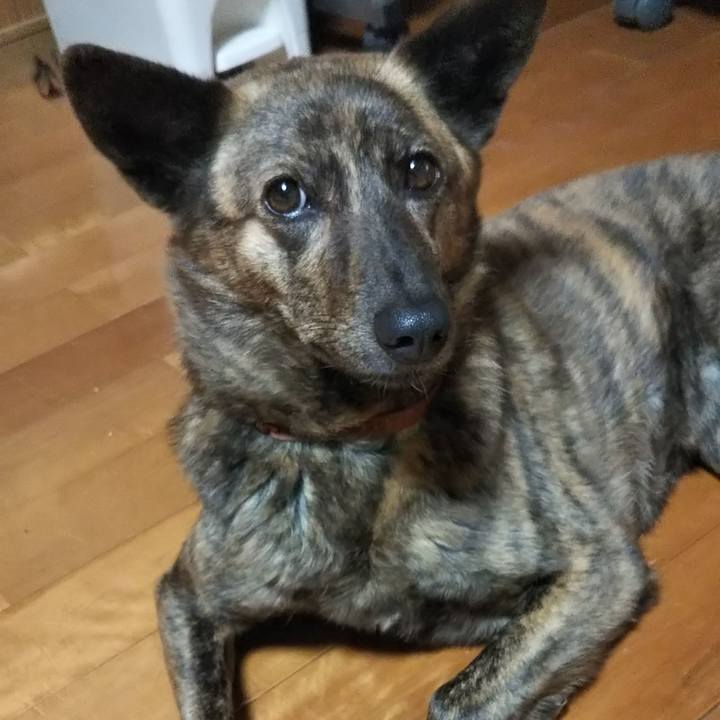 B53b03e7 03db 4659 8655 c2942c5e97a6 1528977044961