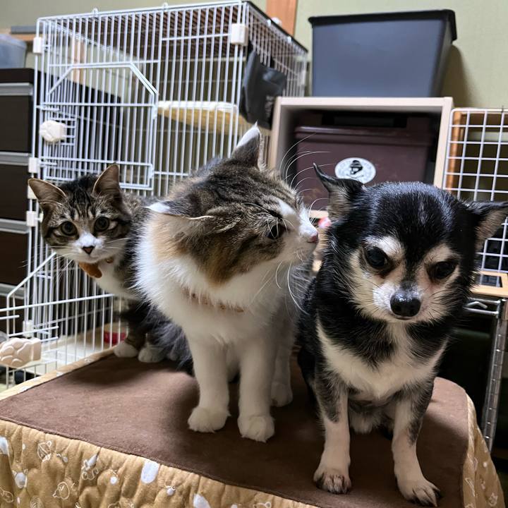 B53b3f61 7965 4834 b0d3 1460d8c8ce66 1707173982345