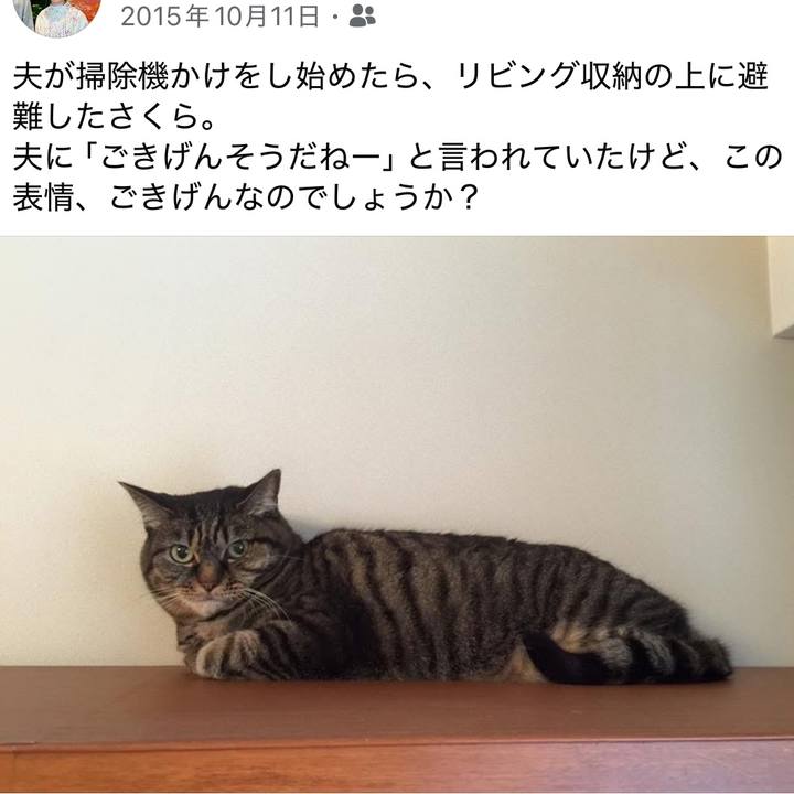 B53b5537 cfa7 48d4 bb7b 21ee9f6488a7 1760142407767