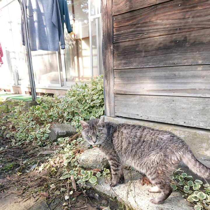 B53b7988 518f 4af4 9304 1582b5656d21 1576292765473