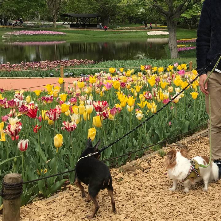 B53b8574 afb8 408c a3f2 fdad0c26f138 1556537619083