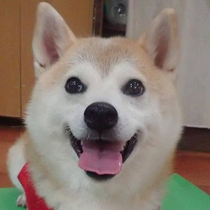 B53b9ad8 65a7 4aef a94c 234a83b5619d 1737496825445