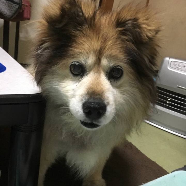 B53bb070 e745 4da7 85d1 a6e82a16f933 1615036435731