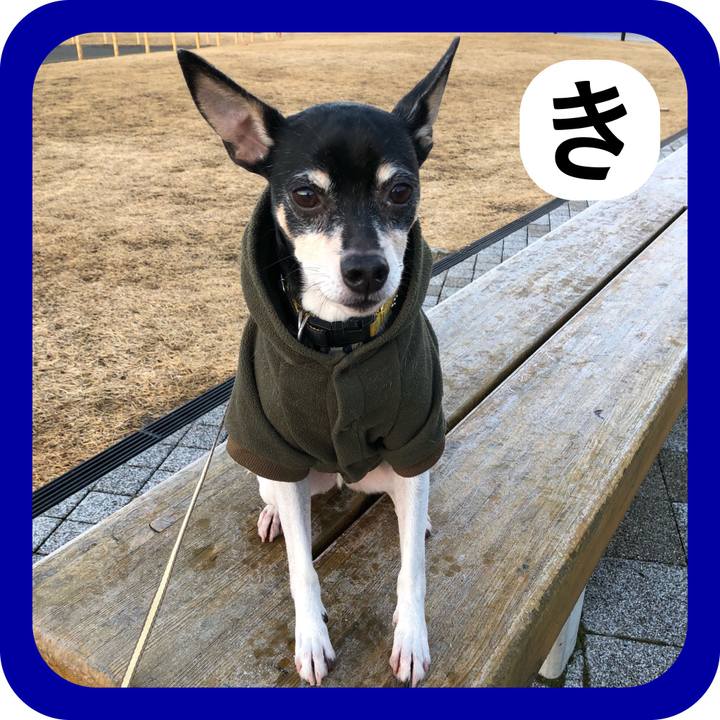 B53bb4d9 d1c8 4c92 b7ad b4e6059c7f19 1514853732309