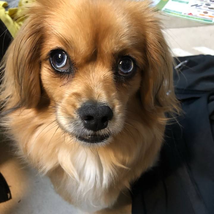 B53bbcb2 a4c9 48ae a6e9 8a7fed947343 1556663542378