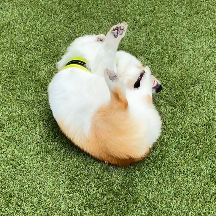 B53bbf4c 6e5f 4948 a646 c3249db8b19b 1746760074867