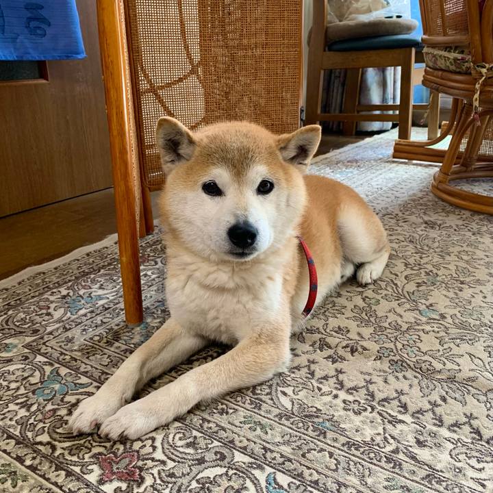 B53bf401 1328 404d 82bc b815f507b937 1684063057504