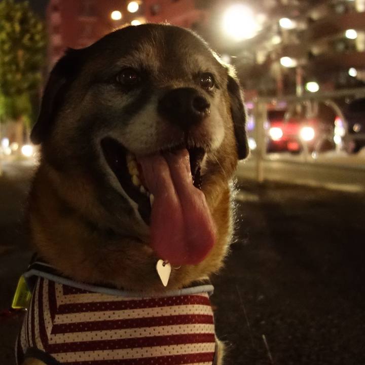 B53c13ad df94 4541 b2ef 272a9d475a2a 1531575391559