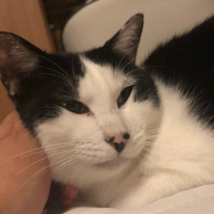 B53c1f96 d93a 44d6 b897 339804b5977c 1571584410107