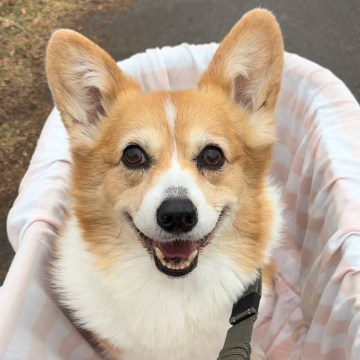 B53c3ca3 3c39 4834 92ea 7c88f77c9675 1766203747504