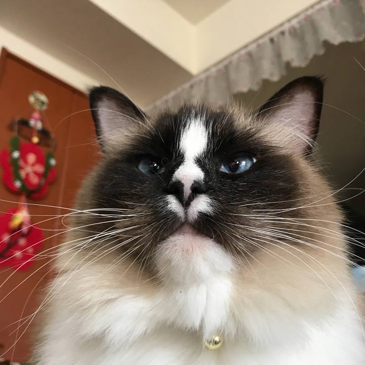 B53c5bac 51c5 4f92 a256 10e5e589ce93 1516745084049