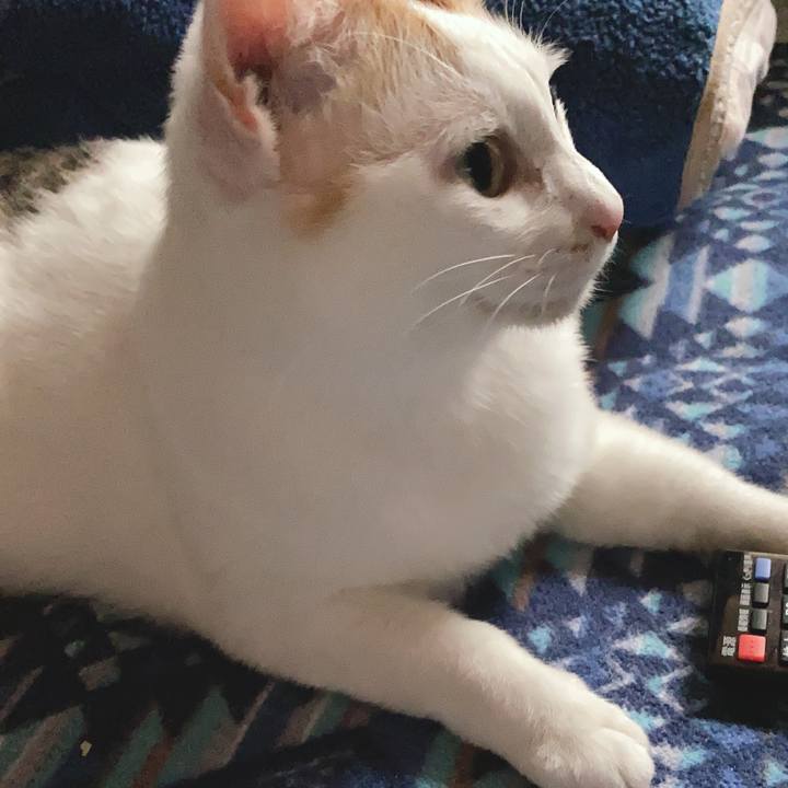 B53cb08d 7b91 4a80 939d b1daf88d3b55 1588159325331