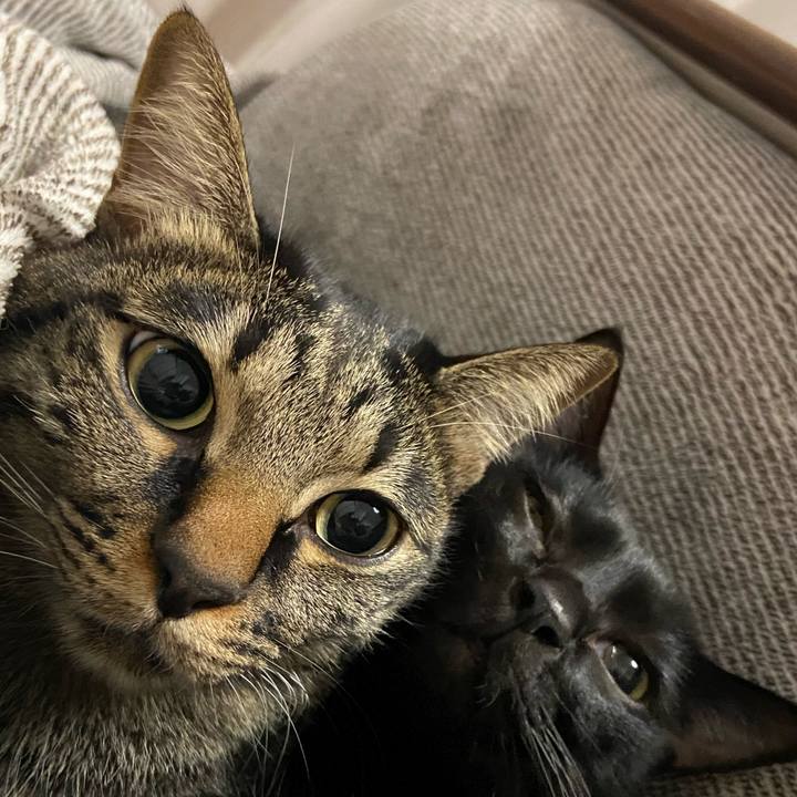 B53cddb0 1efb 422f 9a4a de318f4fe5ed 1673180199487