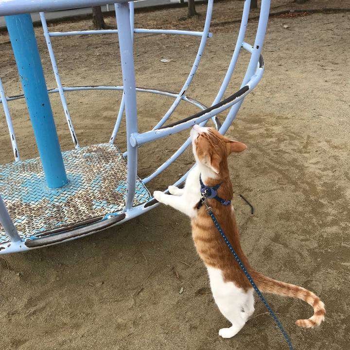 B53cfc88 185d 446d 91d6 3094c0e65a35 1512705668738