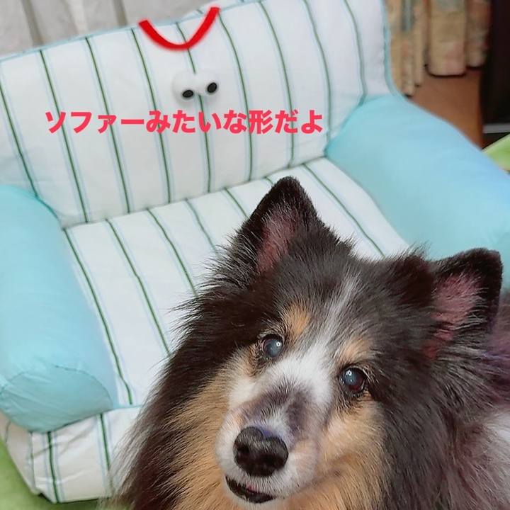 B53d0148 091b 4c7e 889a df2adb33b727 1752515048624