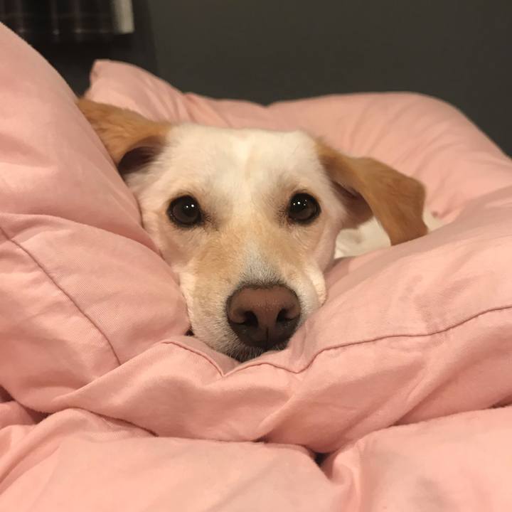 B53d2404 8145 43b1 95e4 0a6e19366f07 1544282164019