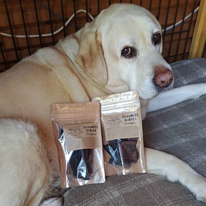 B53d2661 c4c2 4a44 bb42 a91a65410205 1744170996474