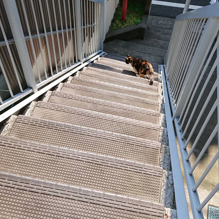 B53d38bc 478e 436e ba22 7d05f838c05c 1586907041917